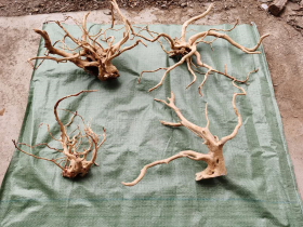 Golden Natural Root for Aquarium