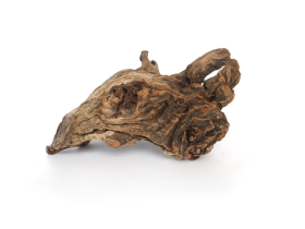 Driftwood Stump for Reptile Wood
