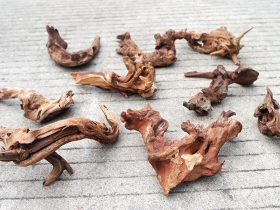 Natural Driftwood for Terrarium
