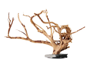 Slate Based Azalea Root for Reptile Encloser