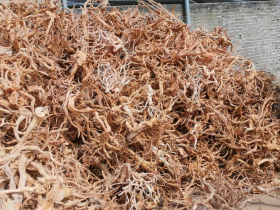 Cuckoo Root Aquarium Decoration Root