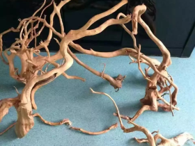 Azalea Root Aquarium Hardscaping Root