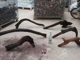 Driftwood for Terrarium Hardscape