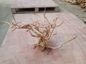 Golden Vine Aquarium Root