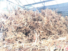 Aquarium Roots Production Base
