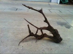 Aquarium River Drift Wood