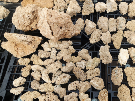 Water Sucking Rocks for Aquarium Hardscape