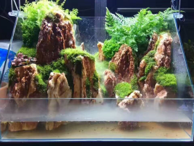 Red Scale Like Rocks Aquascaping Stone
