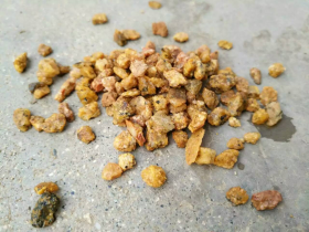 Yellow Aquarium Gravels
