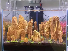 Golden Fossil Wood Aqurium Rocks