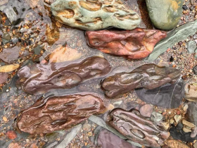 Natural River Tumbled Dragon Stone