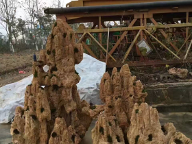 Water Sucking Rock Miniature Garden