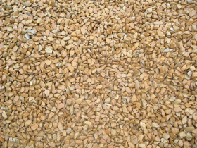 Yellow Wood Vein Pebble Stone
