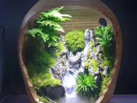 Broken Pot for Zen Garden and Reptile Enclosure