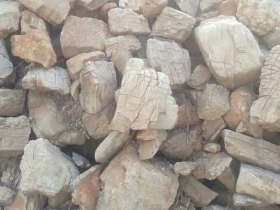 Turtle Vein Rocks Aquarium Stone