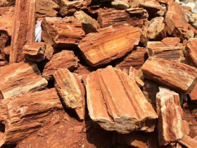 Red Wood Fossil Rocks