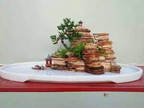 Multilayer Rocks Bonsai Landscape