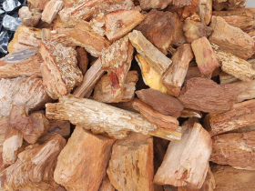 Red Wood Fossile Stone