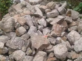 Turtle Shell Vein Rock Aquarium Stone